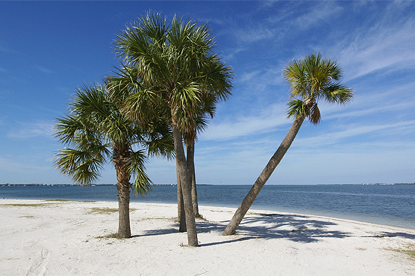 Sanibel Beach